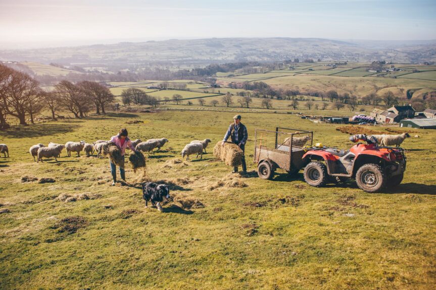 rural sector hazardous business - HB Underwriting