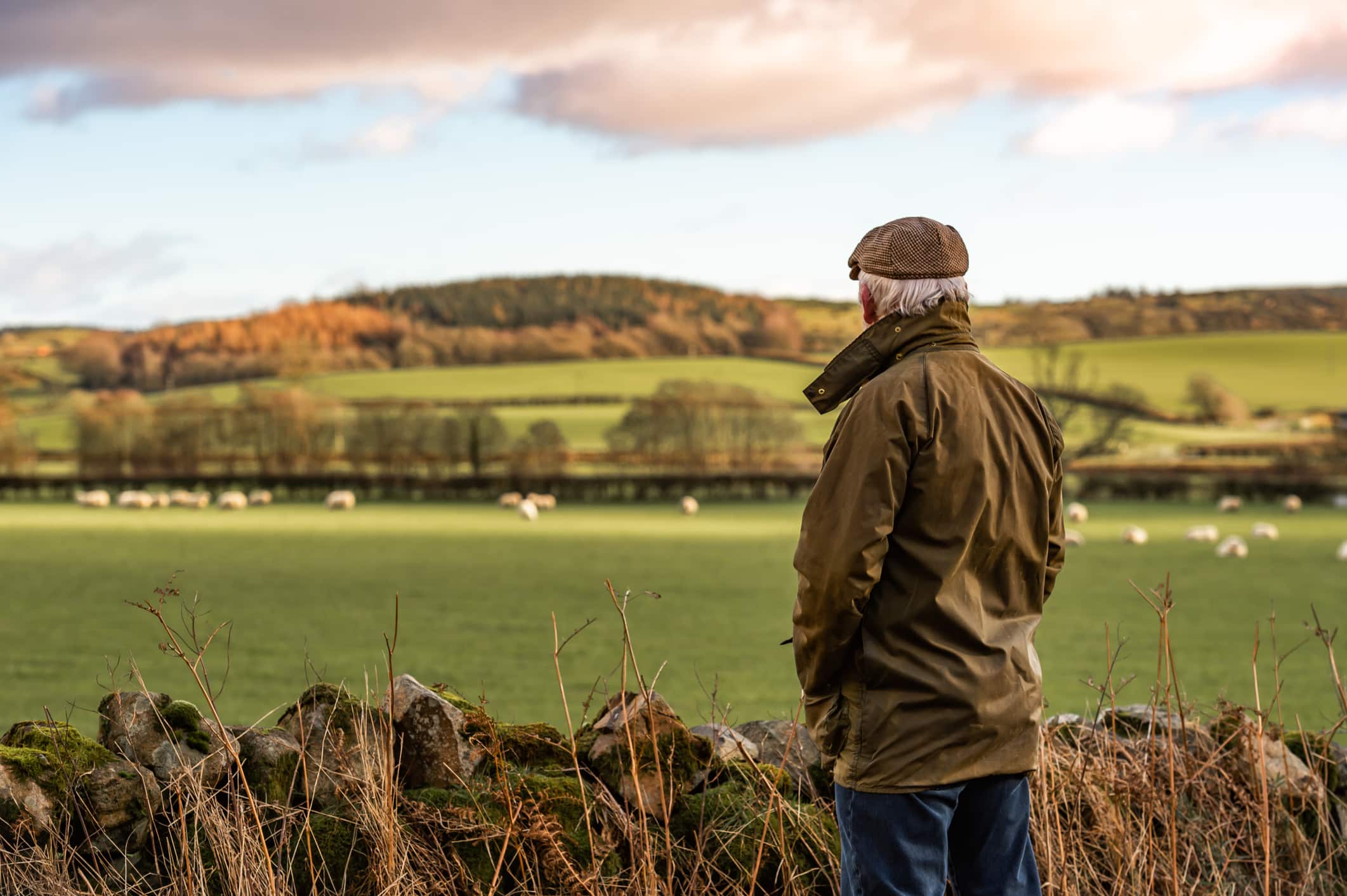 Rural Protect Fraud Cover HB Underwriting