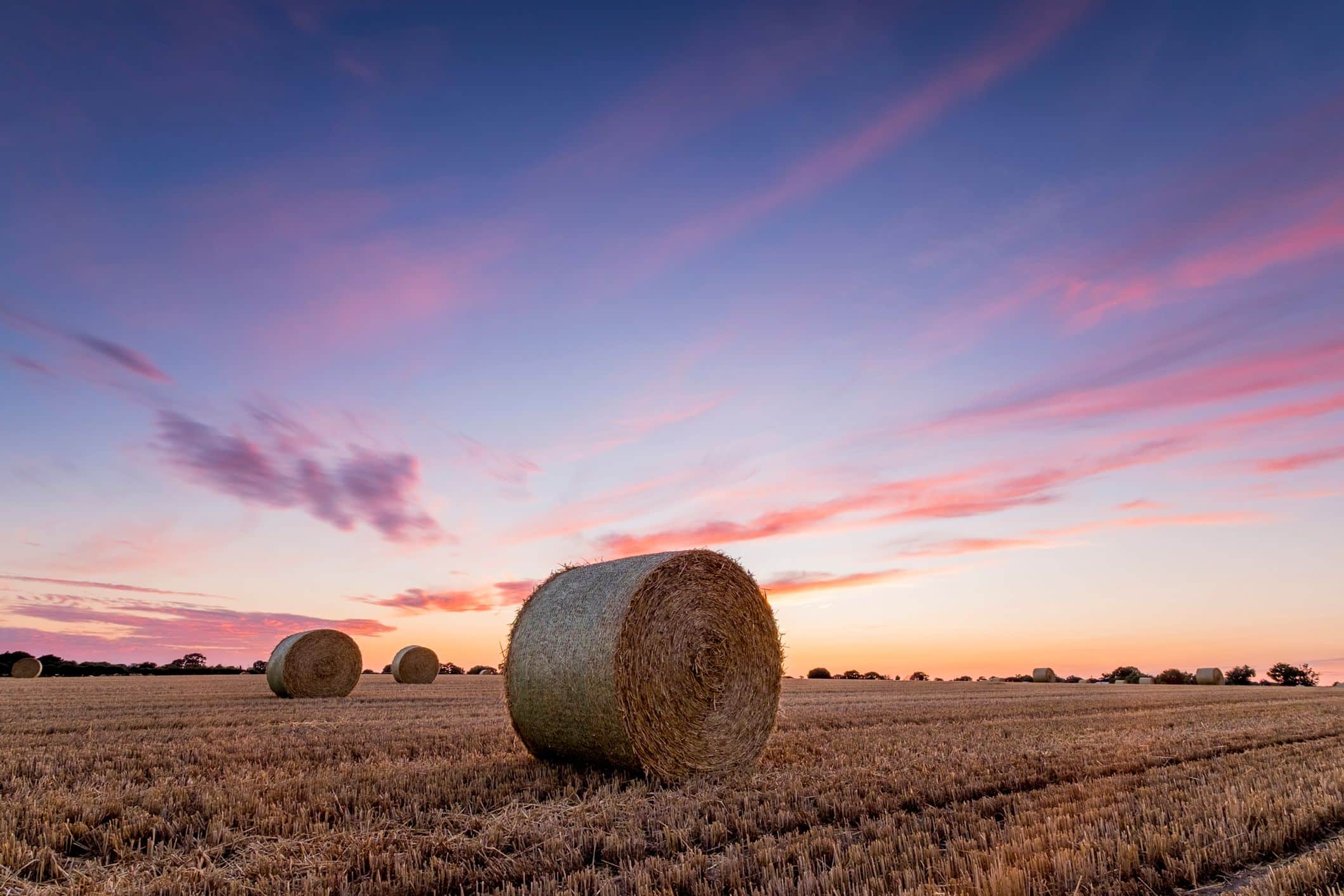 Common Agricultural Policy (CAP) and appeals