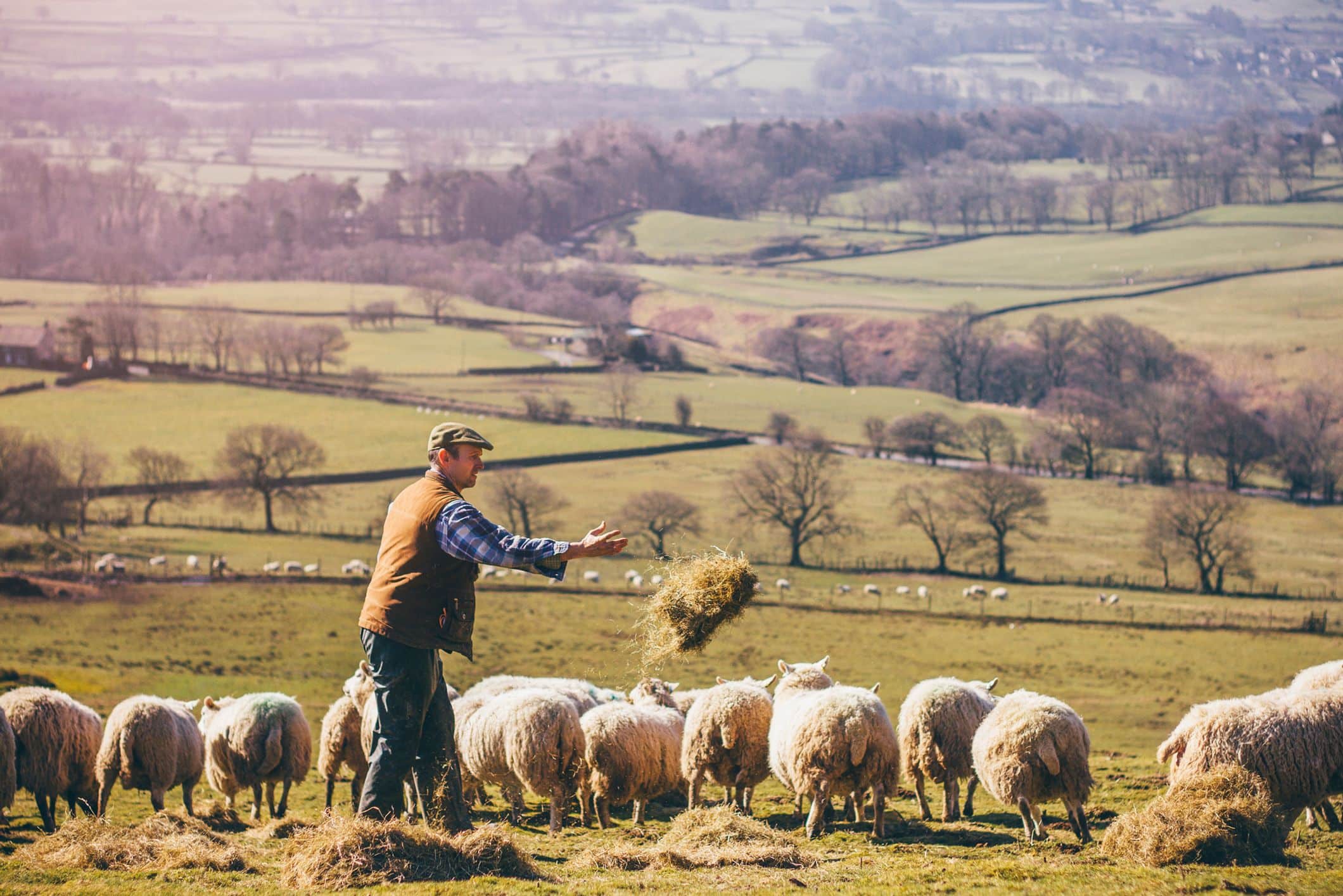 Rural Protect Elements
