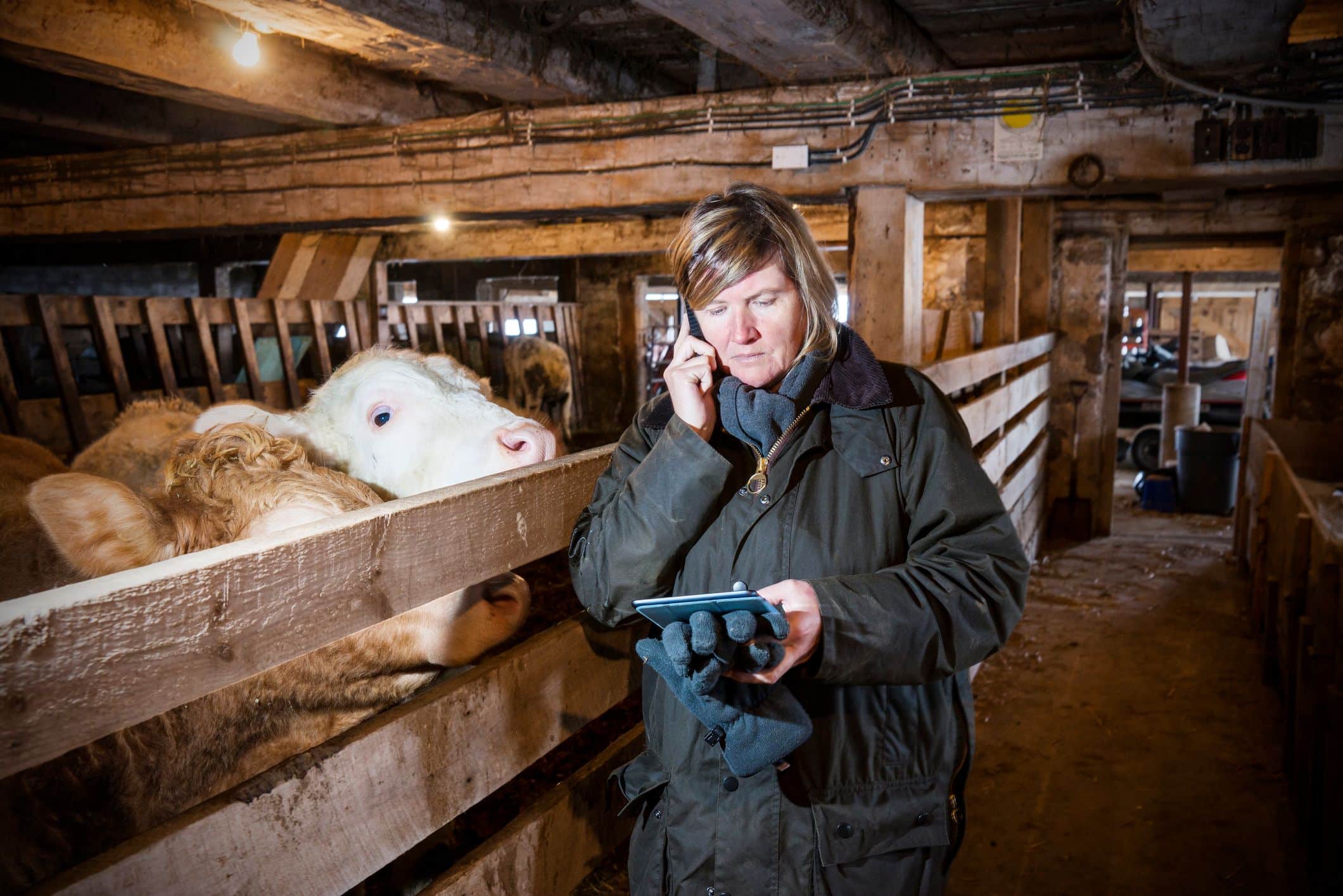 Rising fraud claims and how Rural Protect can help