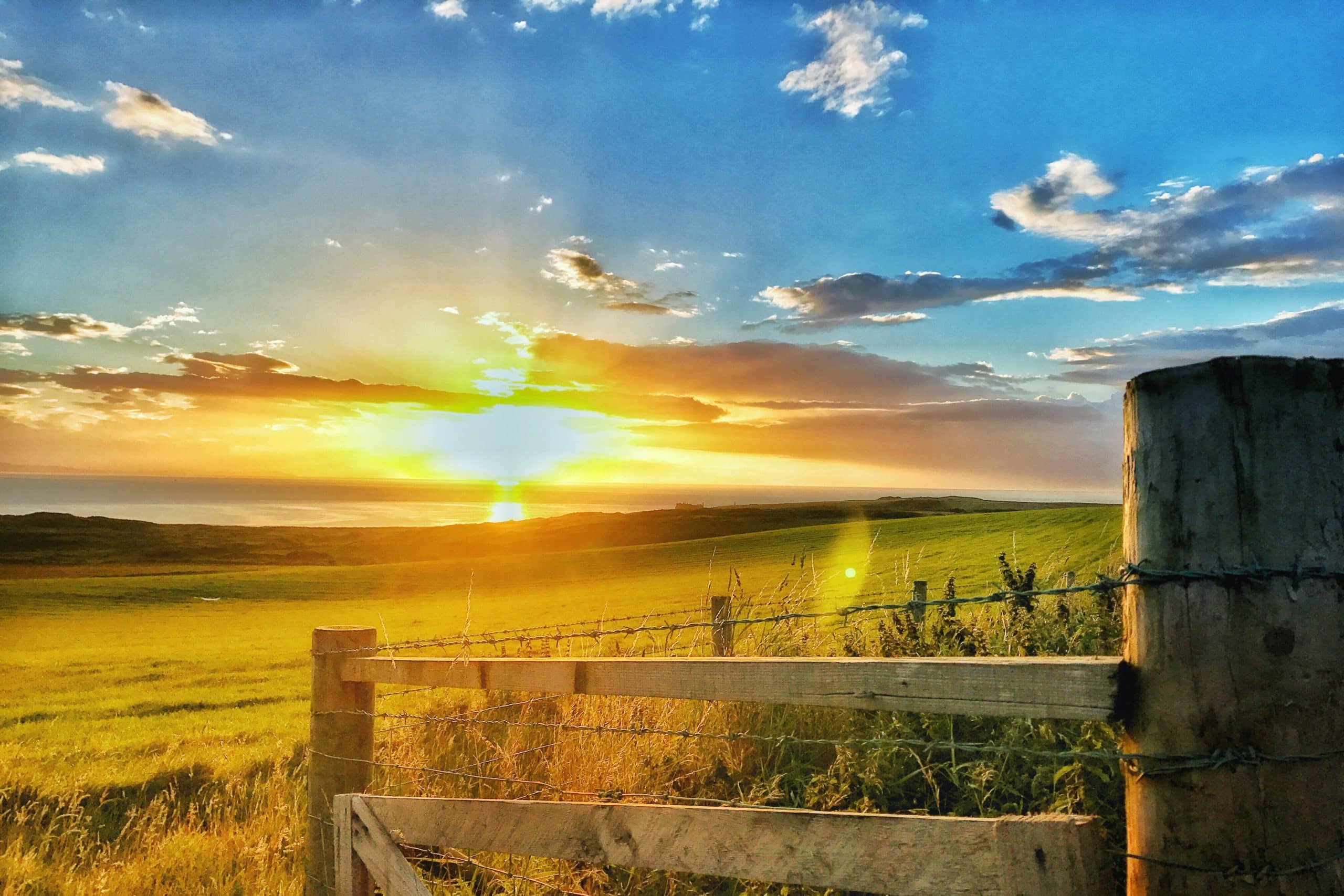 Environmental Land Management Scheme & What it means for farmers