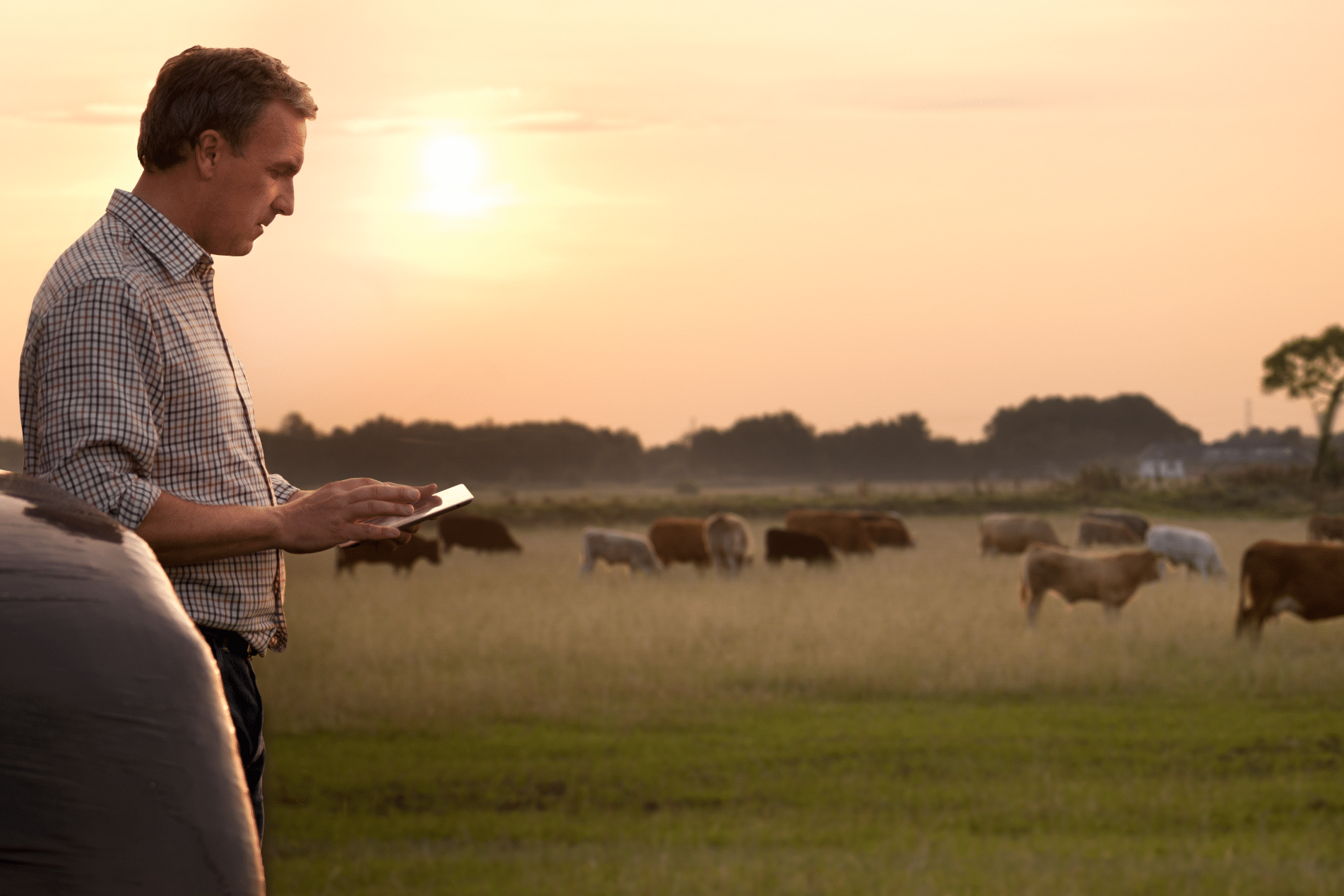 Rural Protect Rates and Cover Changes from January 2024
