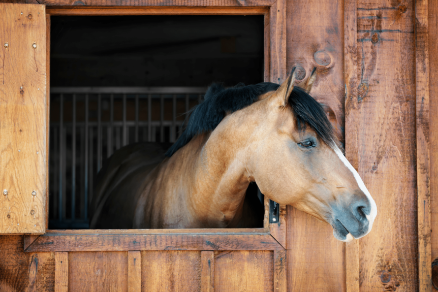 Rural Protect Case Study: Settling a legal dispute