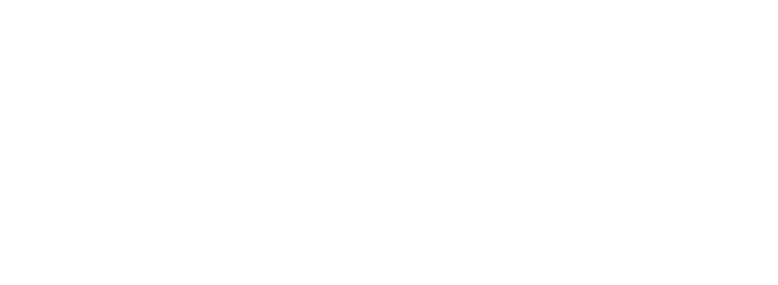 Rural Protect Elements logo all white