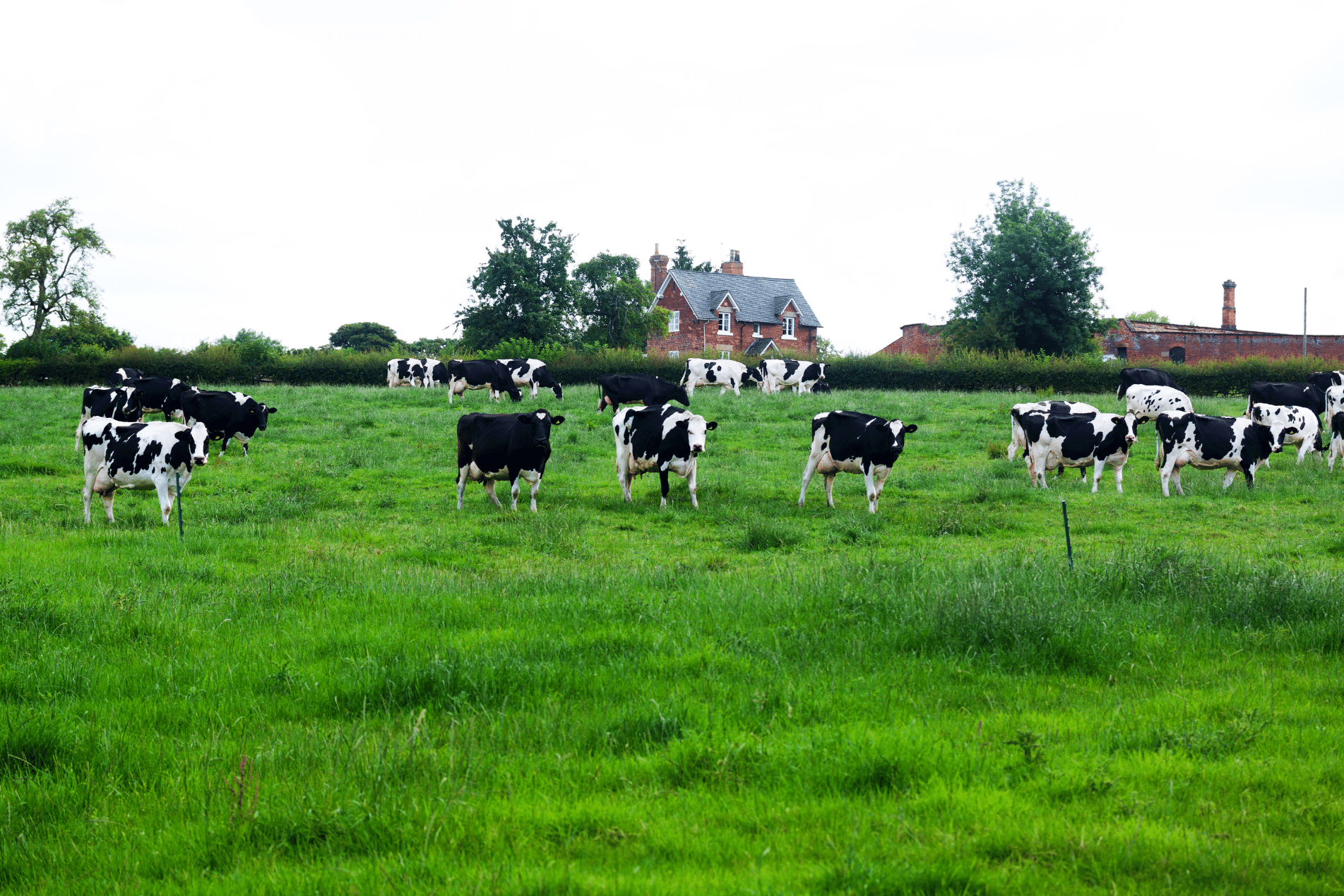 Rural Protect Rates and Cover Changes from May 2025