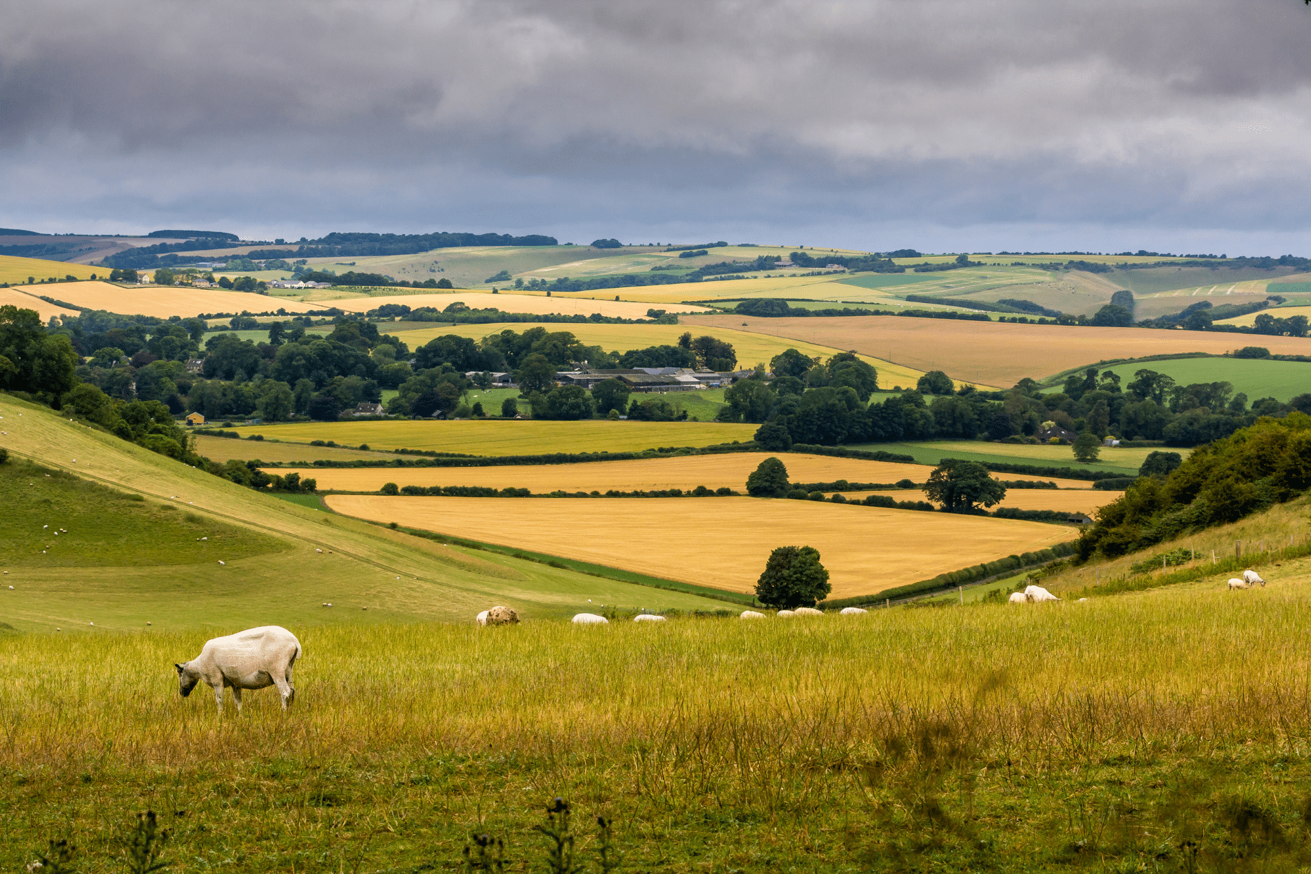 Rural Protect Case Study Local authority investigation costs
