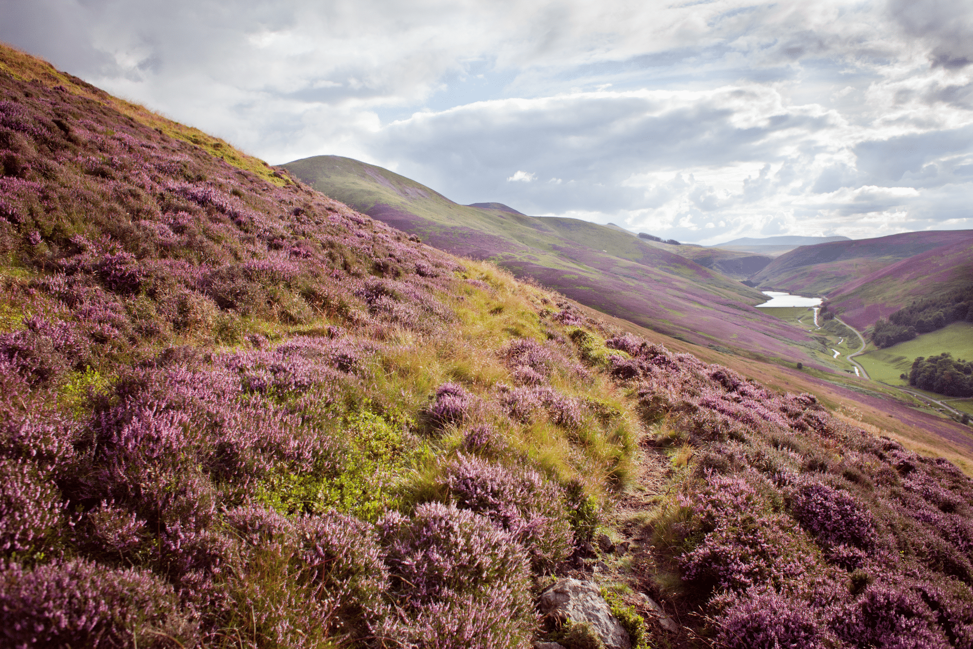 Understanding the Land Reform (Scotland) Bill