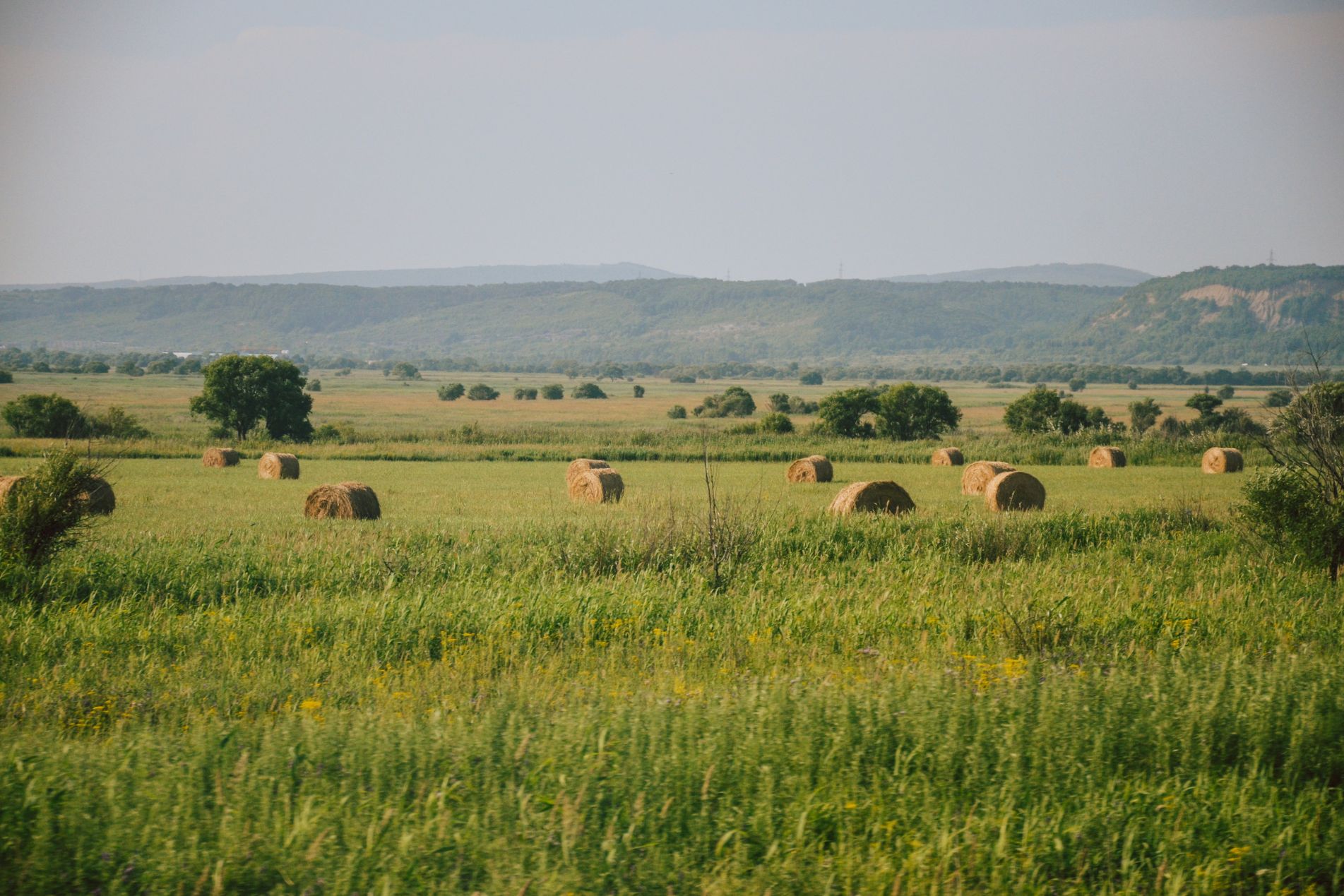 Rural Protect Case Study_ Land Dispute with a Neighbour