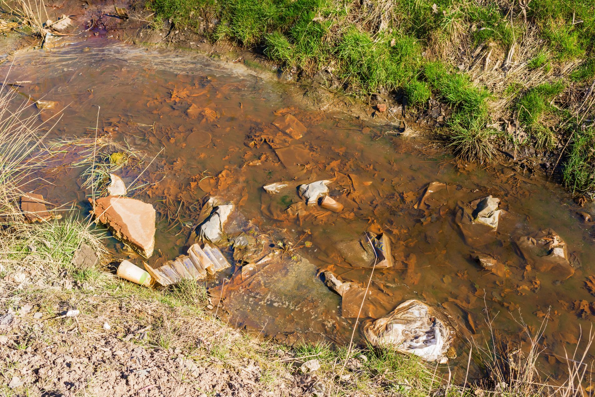 Rural Protect Case Study_ Pollution Incident – Contaminated Water 