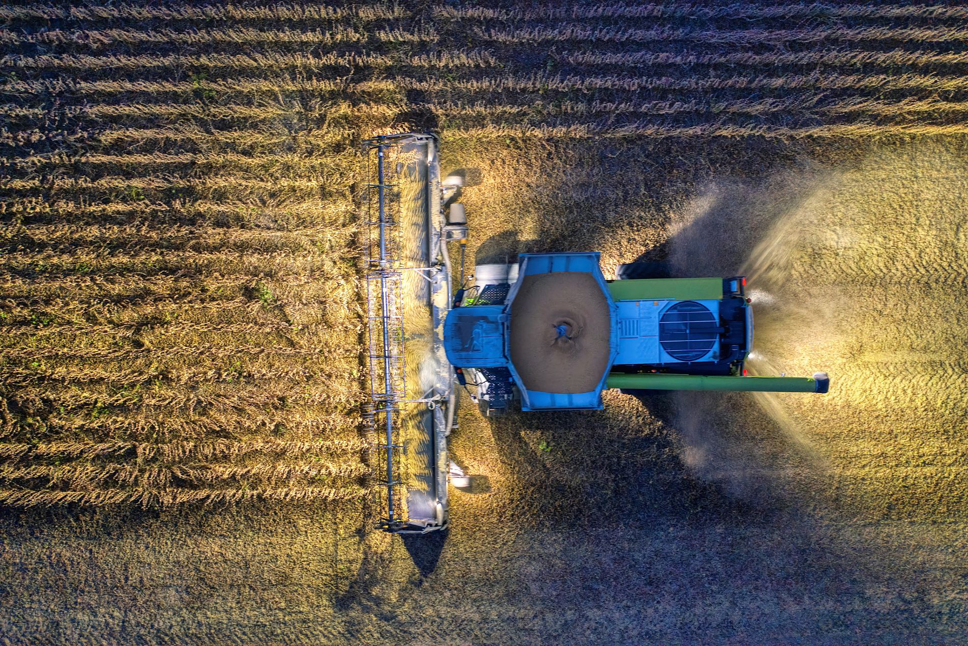 Rural Protect Case Study_ Small Claims Court – Contractor Dispute