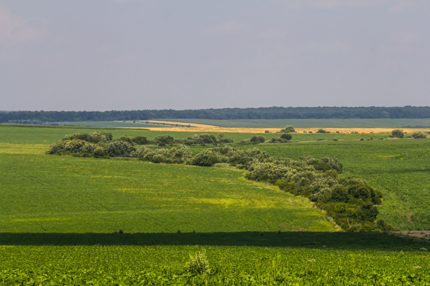 Rural Protect Case Study - Alleged Breaches of Restrictive Covenant