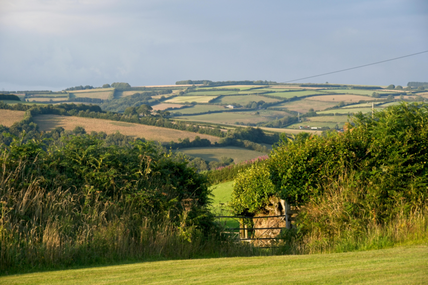 Rural Protect Case Study - Badgers Act Defence