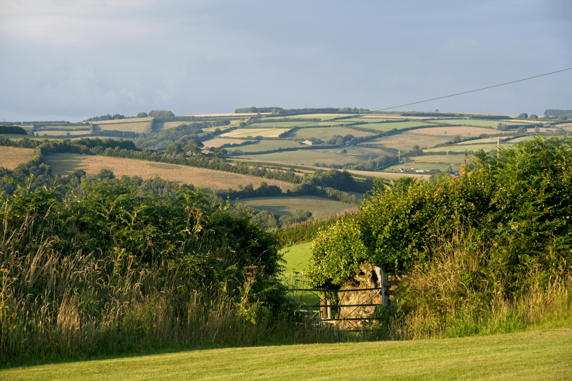 Rural Protect Case Study - Badgers Act Defence