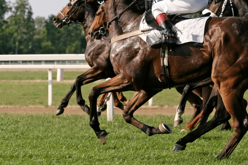 Rural Protect Case Study - Constructive Dismissal Claim